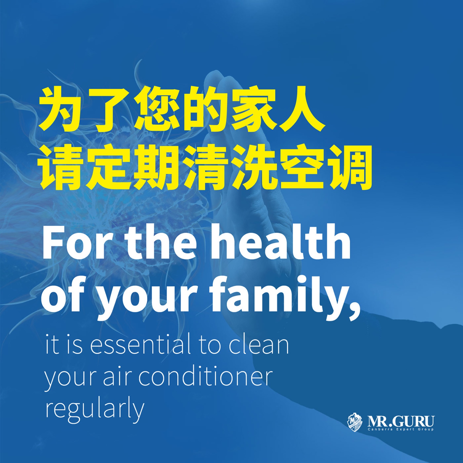 Mr Guru Branding, image 8