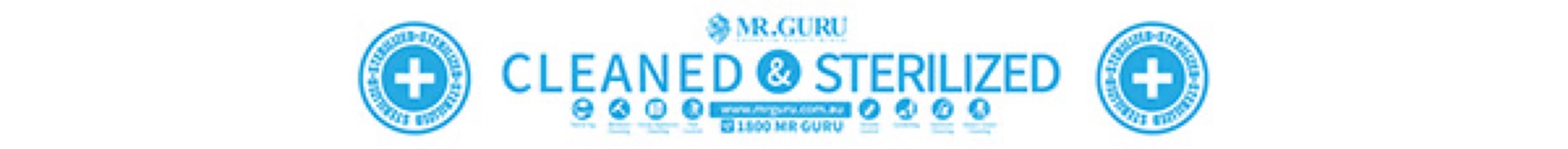 Mr Guru Branding, image 19