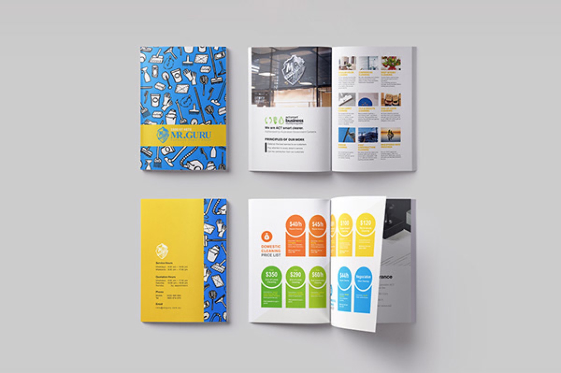 Mr Guru Branding, image 22